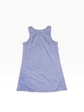 Blue and White Stripe Sleeveless Dress